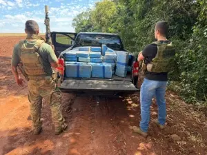 Mais de 600 kg de maconha são encontrados em área de mata em Guaíra